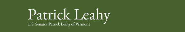 Example Logo