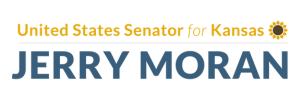 Example Logo